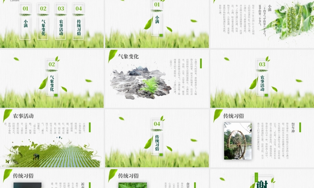 20XX中国传统二十四节气小满节气介绍ppt课件（带内容）.pptx