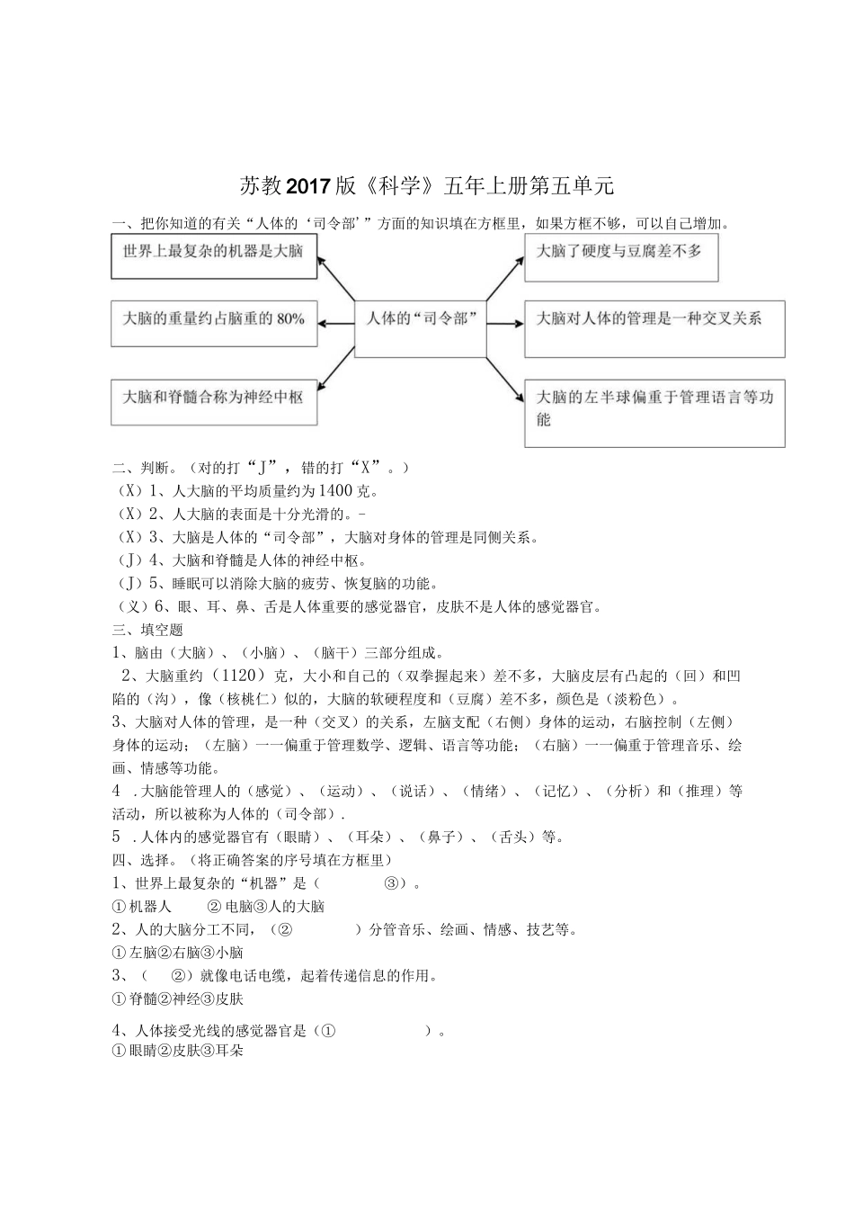 苏教版五年上册科学第五单元测试题（含答案）.docx_第1页