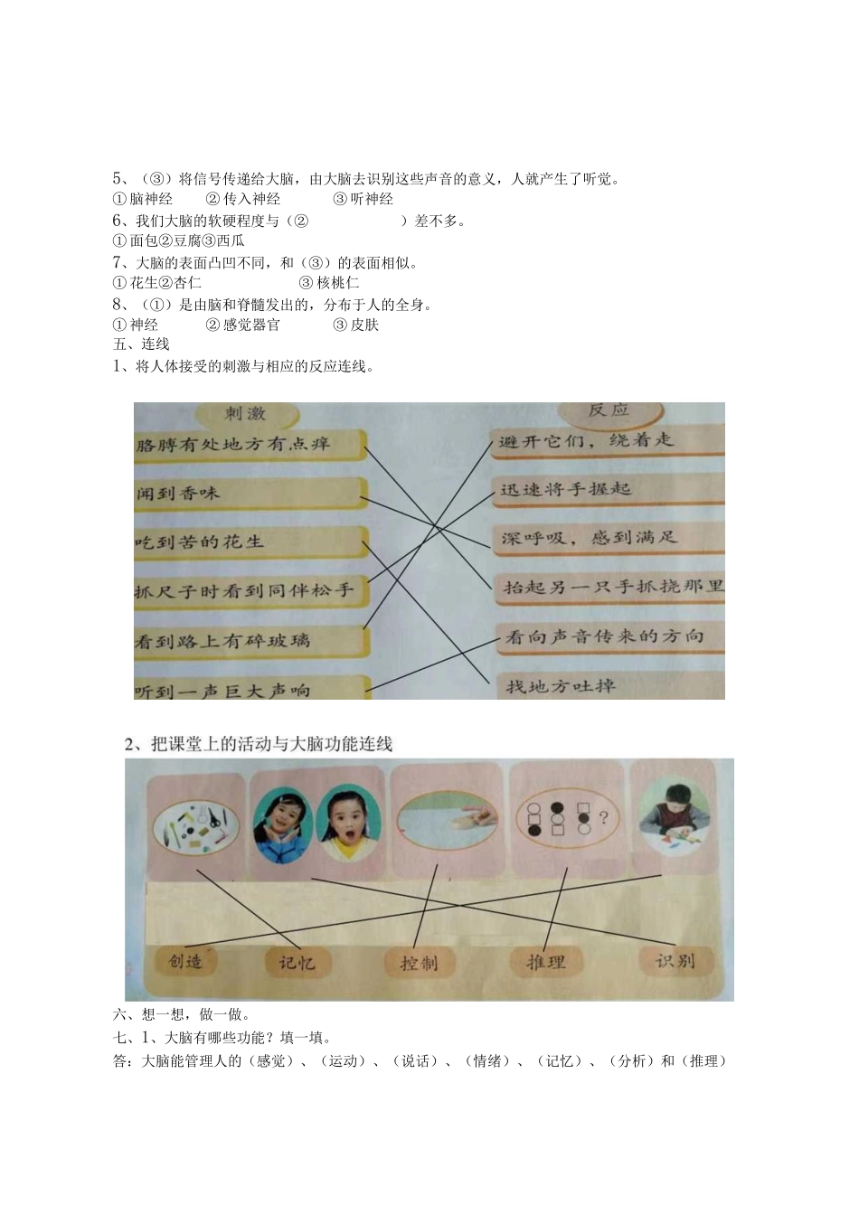 苏教版五年上册科学第五单元测试题（含答案）.docx_第2页