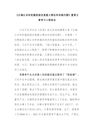 《正确认识和把握我国发展重大理论和实践问题》重要文章学习心得体会2篇.docx