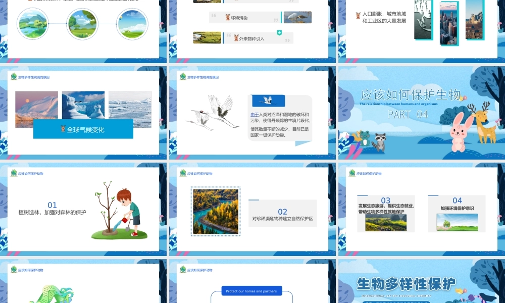 5月22日国际生物多样日PPT生物多样性介绍生物多样性保护PPT课件（带内容）.ppt