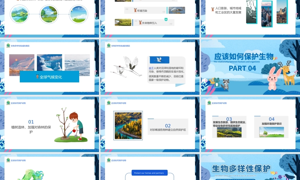 5月22日国际生物多样日PPT生物多样性介绍生物多样性保护PPT课件（带内容）.pptx
