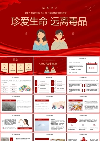 国际禁毒日珍爱生命远离毒品禁毒知识宣传教育班会PPT模板(含具体内容).pptx