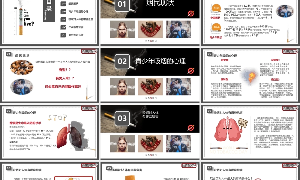 531世界无烟日主题培训PPT珍爱生命远离香烟PPT课件（带内容）.ppt