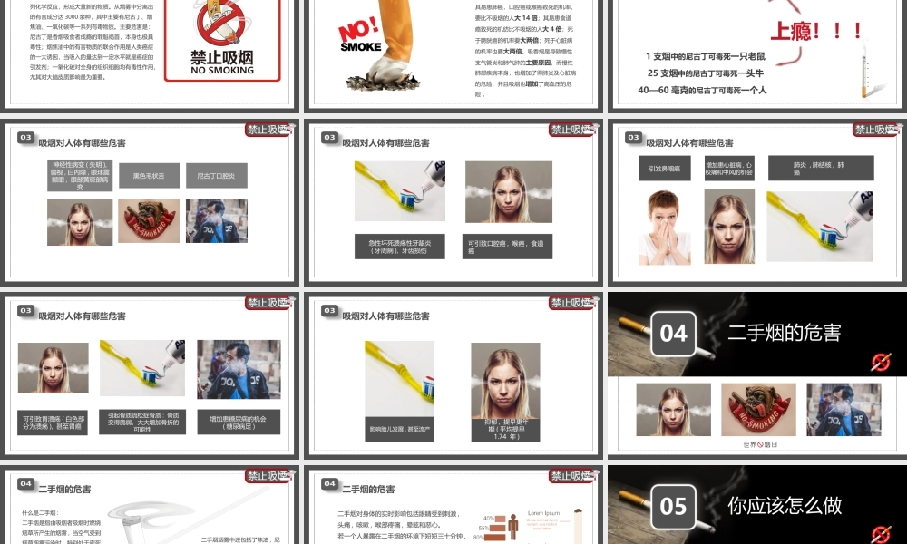 531世界无烟日主题培训PPT珍爱生命远离香烟PPT课件（带内容）.ppt