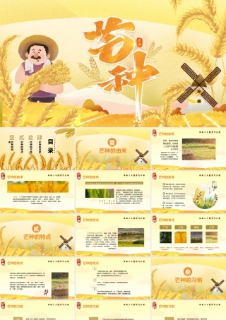 黄色小清新节气之芒种节日介绍PPT模板.pptx