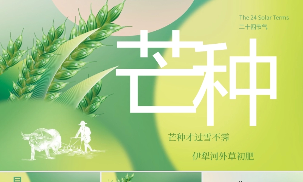 黄绿小清新芒种节气介绍PPT模板.pptx