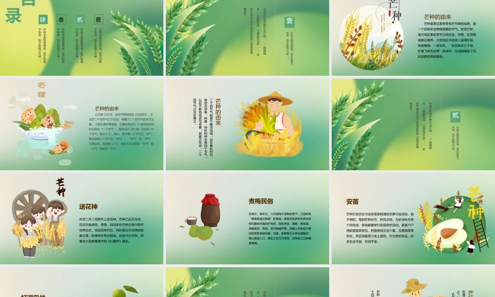 黄绿小清新芒种节气介绍PPT模板.pptx