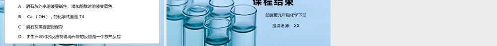人教版九年级化学下册第三单元《常见的酸和碱-酸和碱3》PPT课件.pptx