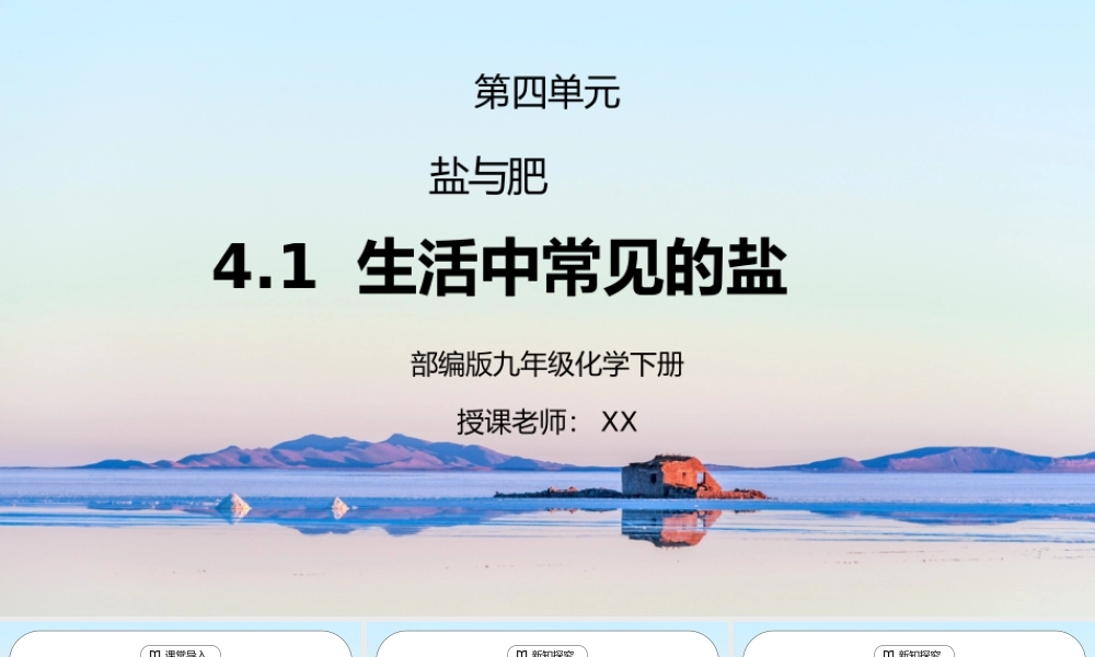 人教版九年级化学下册第四单元《盐化肥-生活中常见的盐》PPT课件.pptx