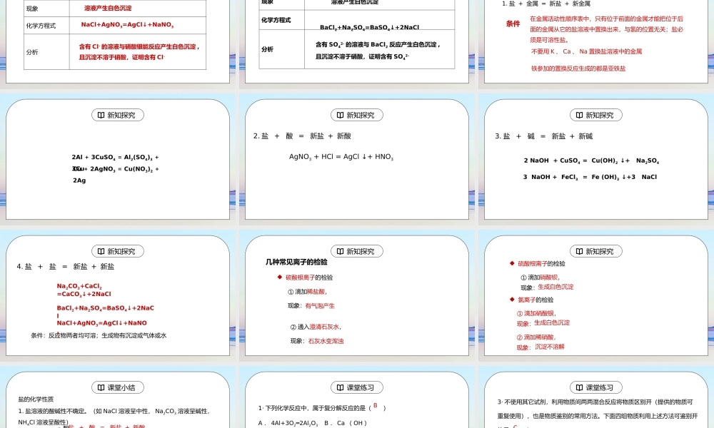 人教版九年级化学下册第四单元《盐化肥-生活中常见的盐》PPT课件.pptx