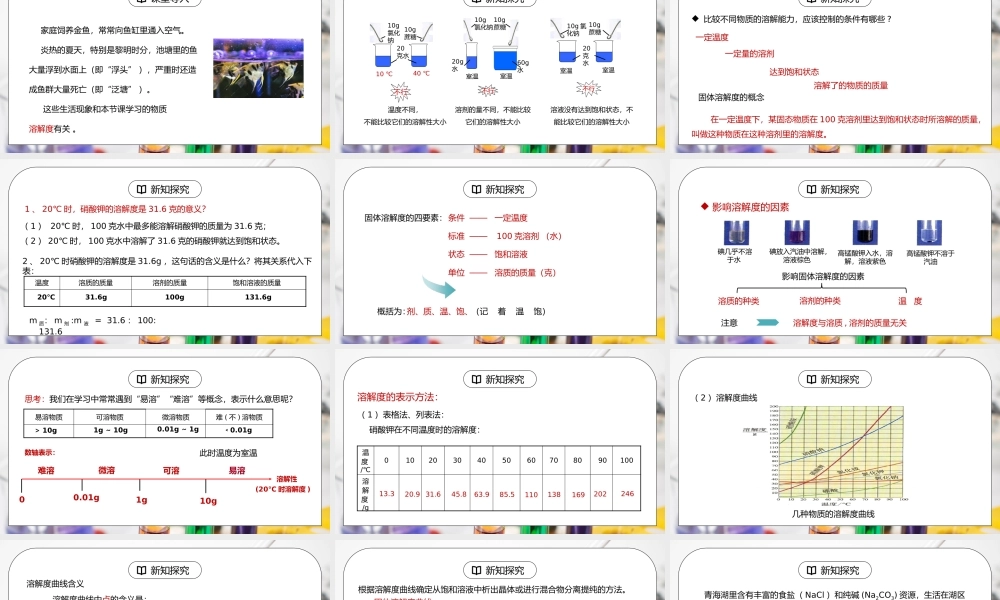 人教版九年级化学下册第二单元《溶液-溶解度2》PPT课件.pptx