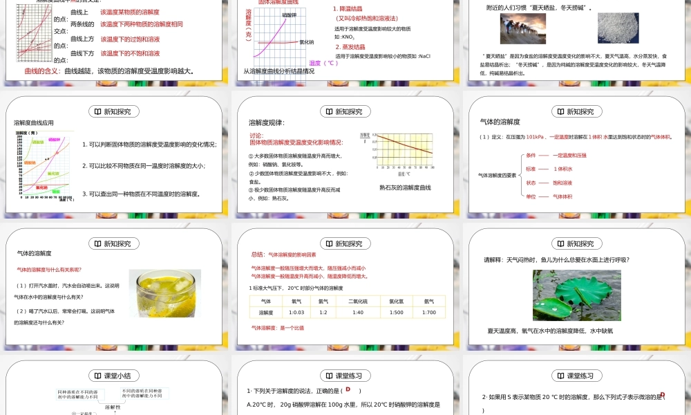 人教版九年级化学下册第二单元《溶液-溶解度2》PPT课件.pptx
