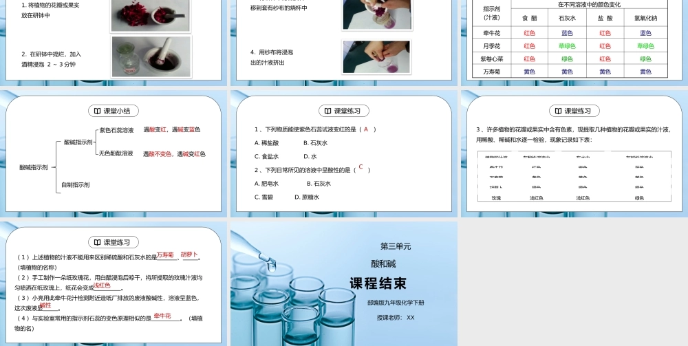 人教版九年级化学下册第三单元《常见的酸和碱-酸和碱1》PPT课件.pptx