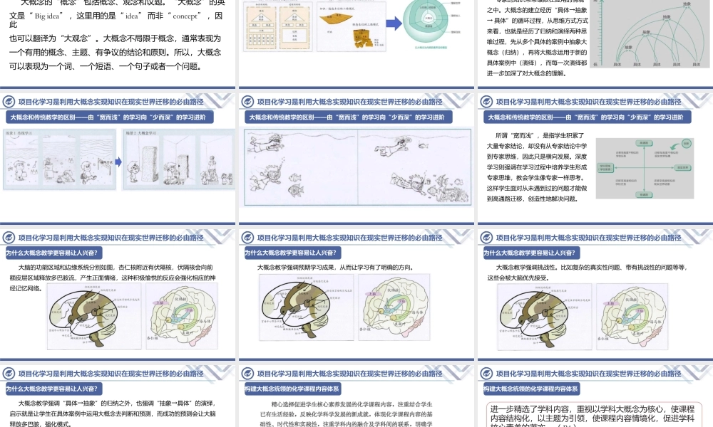 高考化学复习备考策略《大概念统摄下的跨学科实践项目式教学研究》2022年6月.pptx