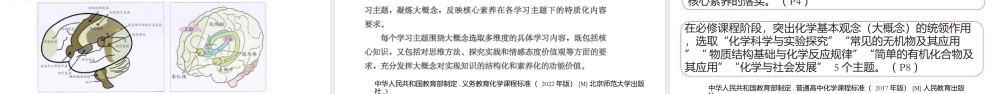 高考化学复习备考策略《大概念统摄下的跨学科实践项目式教学研究》2022年6月.pptx