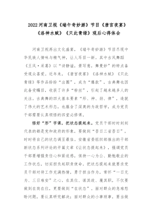 2022河南卫视《端午奇妙游》节目《唐宫夜宴》《洛神水赋》《只此青绿》观后心得体会.docx