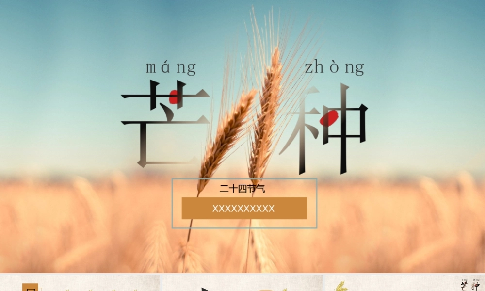 金色丰收传统中国二十四节气芒种节气介绍PPT课件（带内容）.ppt