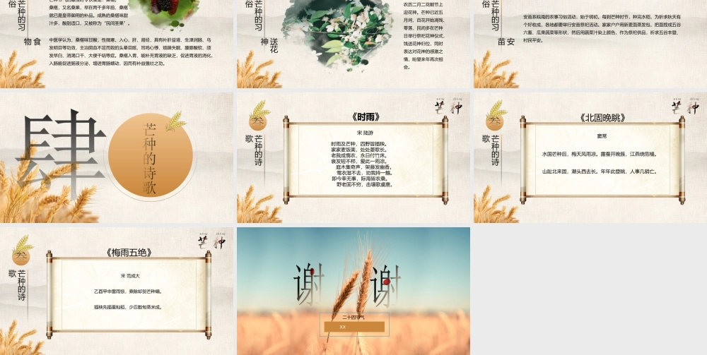 金色丰收传统中国二十四节气芒种节气介绍PPT课件（带内容）.ppt
