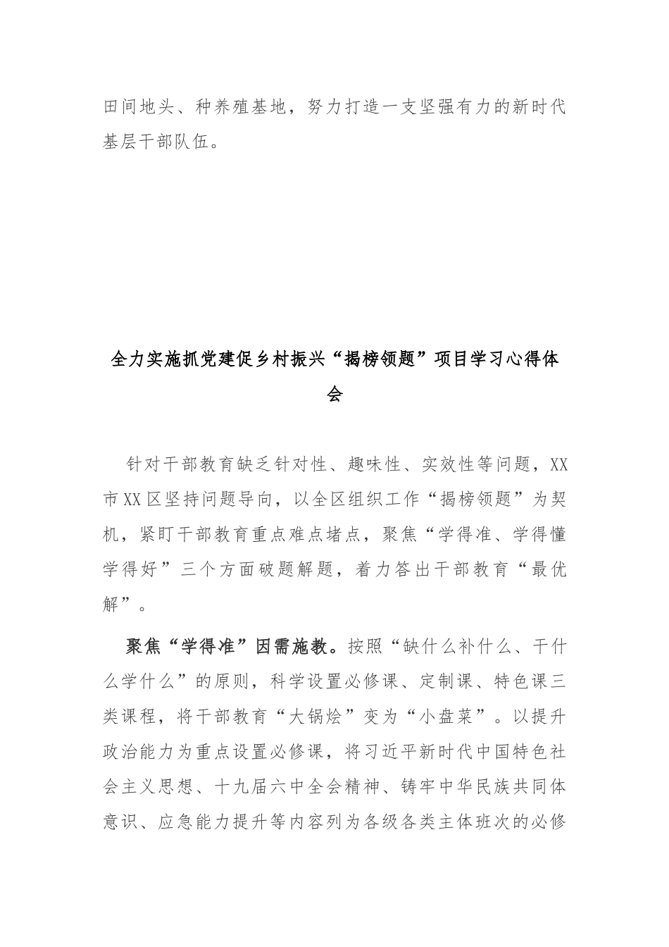 全力实施抓党建促乡村振兴“揭榜领题”项目学习心得体会2篇.docx_第3页