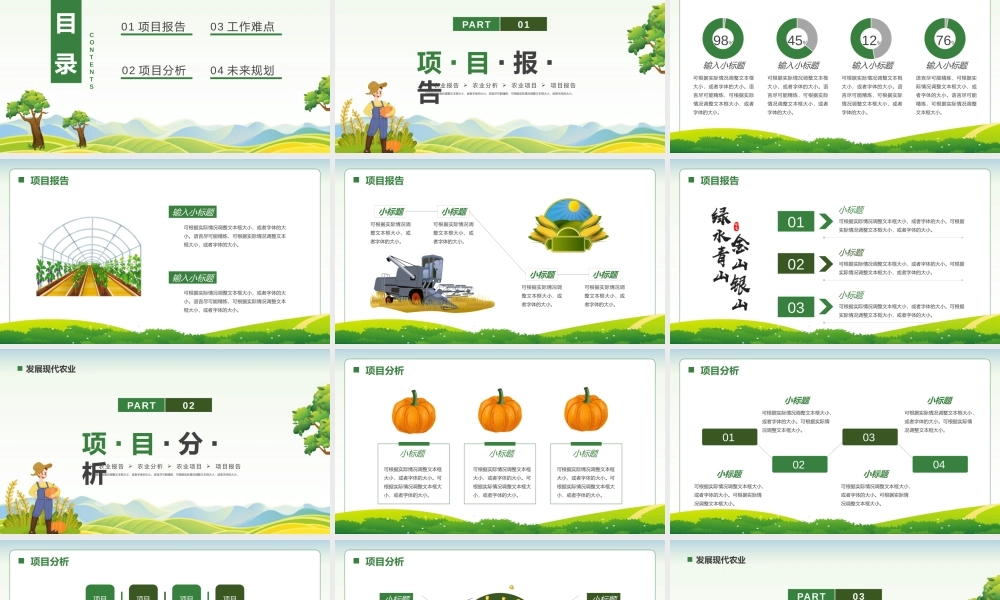 发展现代农业绿色农业项目报告PPT.pptx
