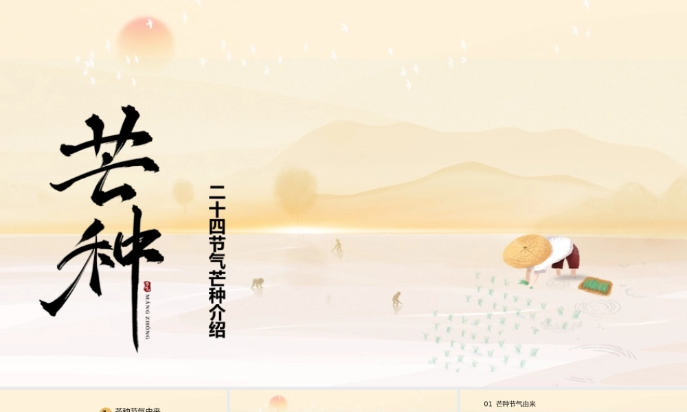 黄色中国风芒种节气介绍PPT模板.pptx