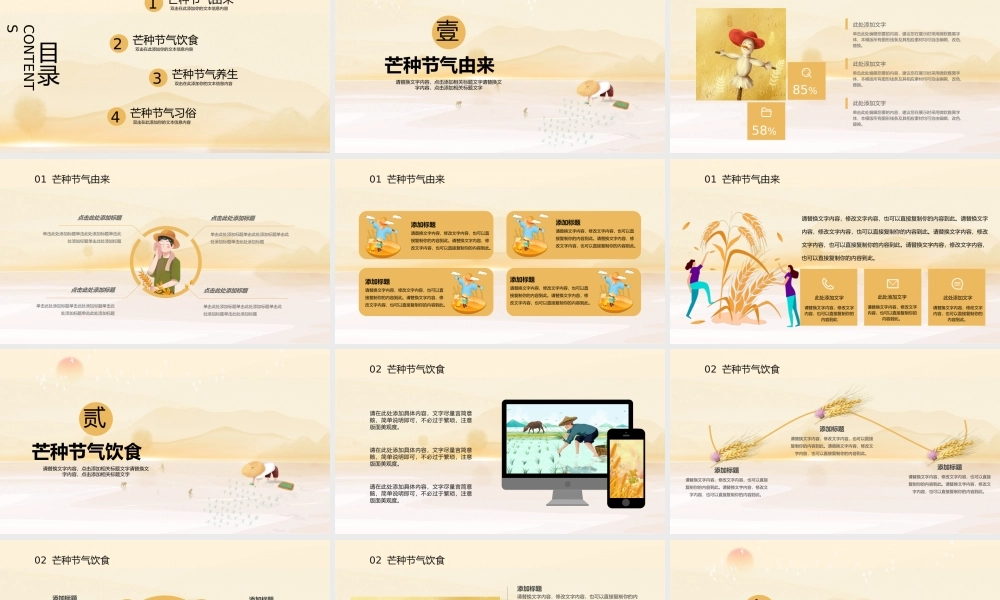 黄色中国风芒种节气介绍PPT模板.pptx