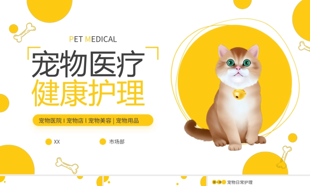宠物医疗健康护理黄色简约PPT模板.pptx