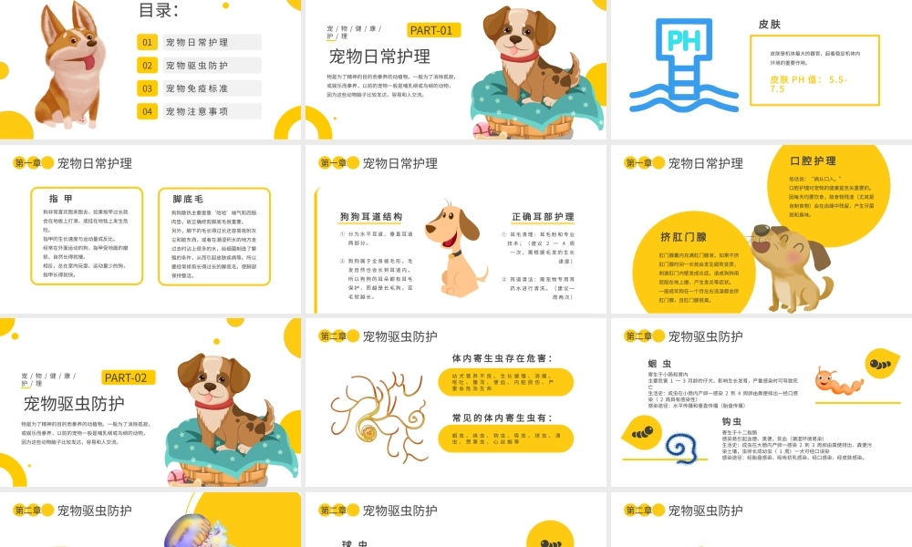 宠物医疗健康护理黄色简约PPT模板.pptx