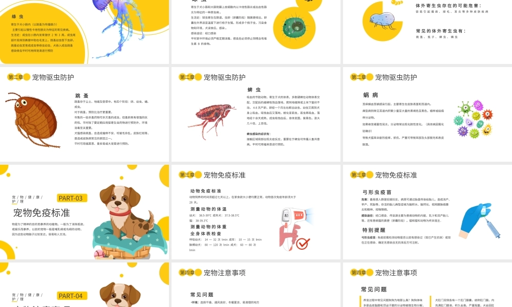 宠物医疗健康护理黄色简约PPT模板.pptx