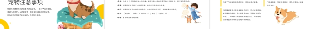 宠物医疗健康护理黄色简约PPT模板.pptx