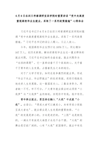 6月8日在四川考察调研宜宾学院时重要讲话“党中央高度重视高校毕业生就业采取了一系列政策措施”心得体会2篇.docx