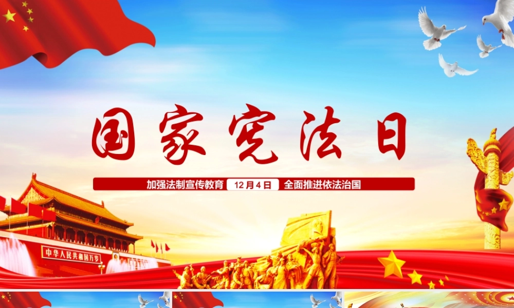国家宪法日宣传 (9).pptx