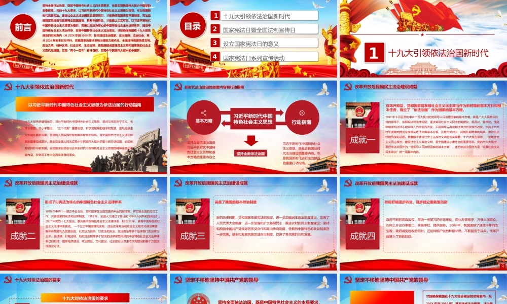 国家宪法日宣传 (9).pptx