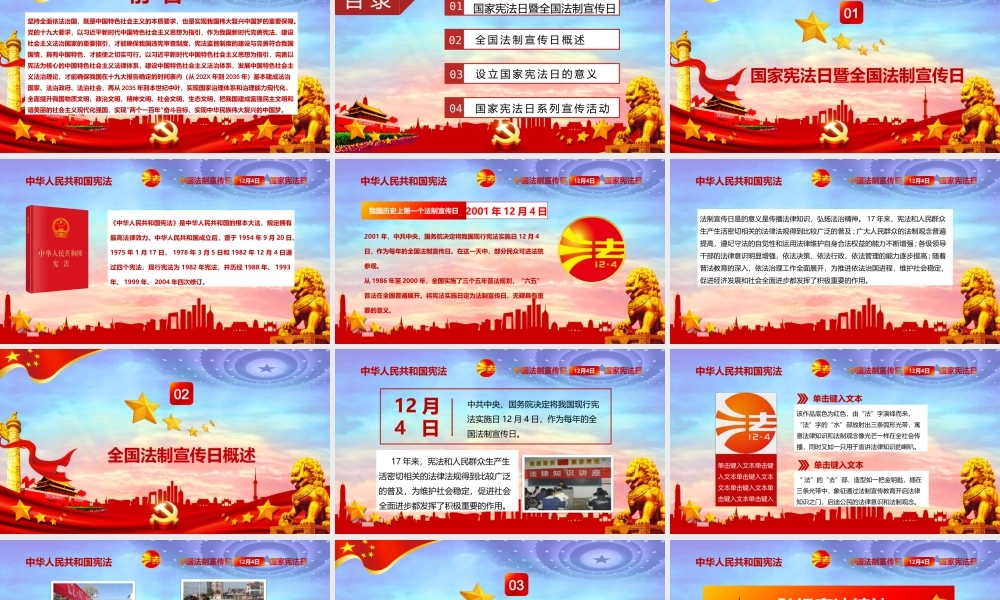 国家宪法日宣传 (17).pptx