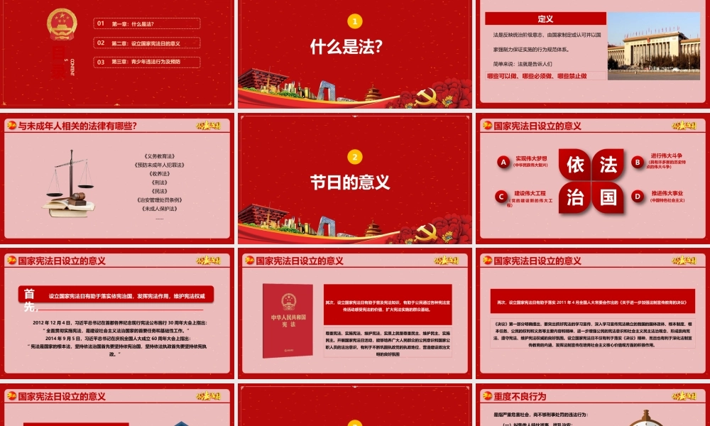 国家宪法日宣传 (21).pptx