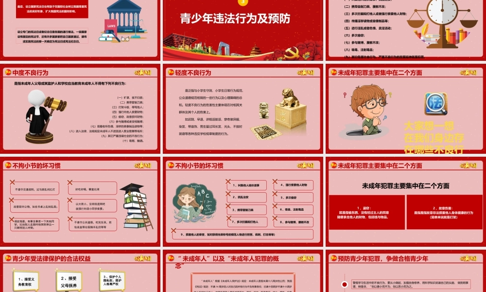 国家宪法日宣传 (21).pptx