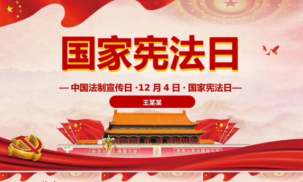 国家宪法日宣传 (24).pptx