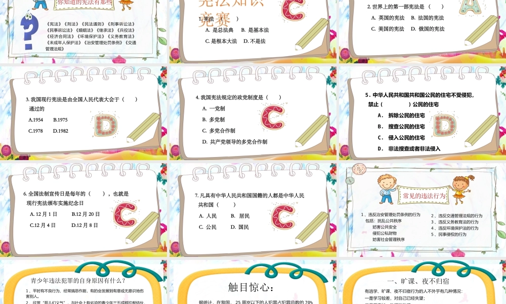 国家宪法日宣传 (36).pptx