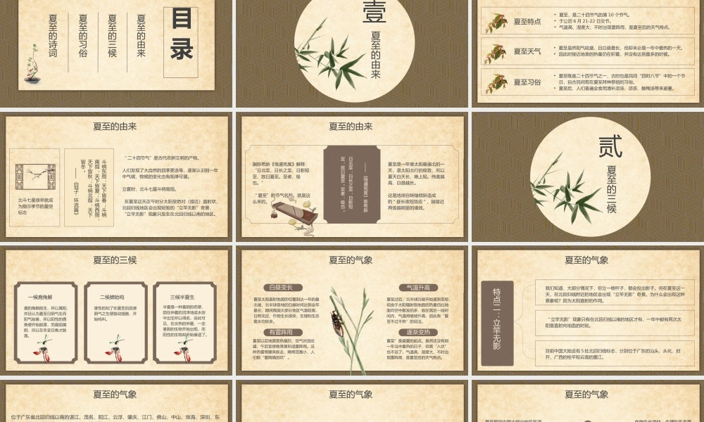 简约中式梅花花鸟夏至节日介绍褐色复古中国风PPT模板.pptx