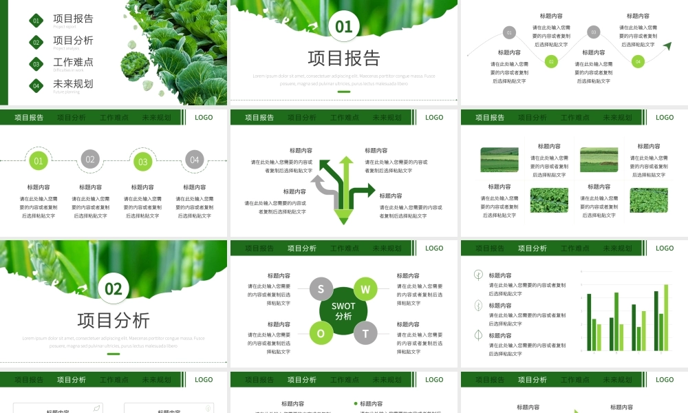 绿色简约风农业发展项目报告PPT模板.pptx