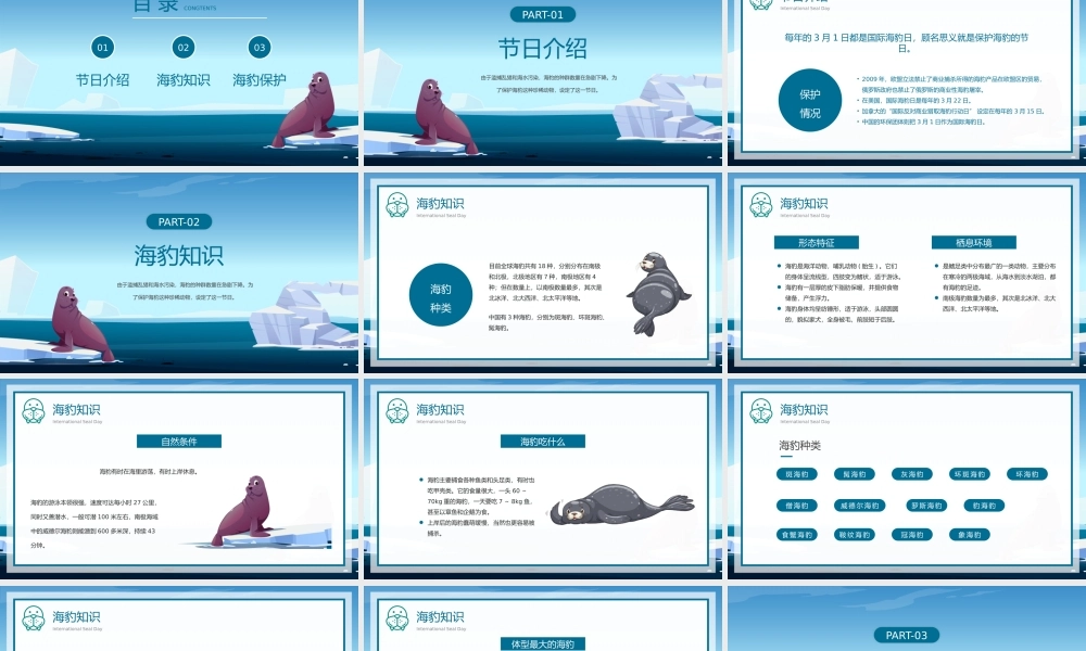 3.1国际海豹日动物保护知识介绍宣传PPT保护野生动物PPT课件（带内容）.pptx