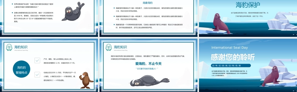 3.1国际海豹日动物保护知识介绍宣传PPT保护野生动物PPT课件（带内容）.pptx
