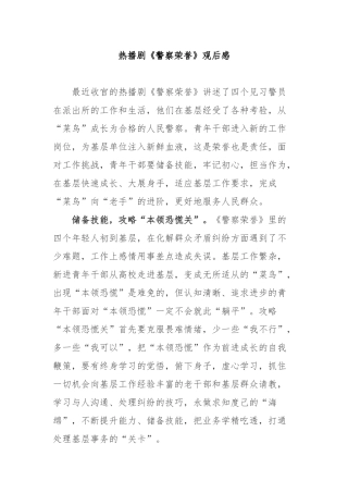 热播剧《警察荣誉》观后感2篇.docx