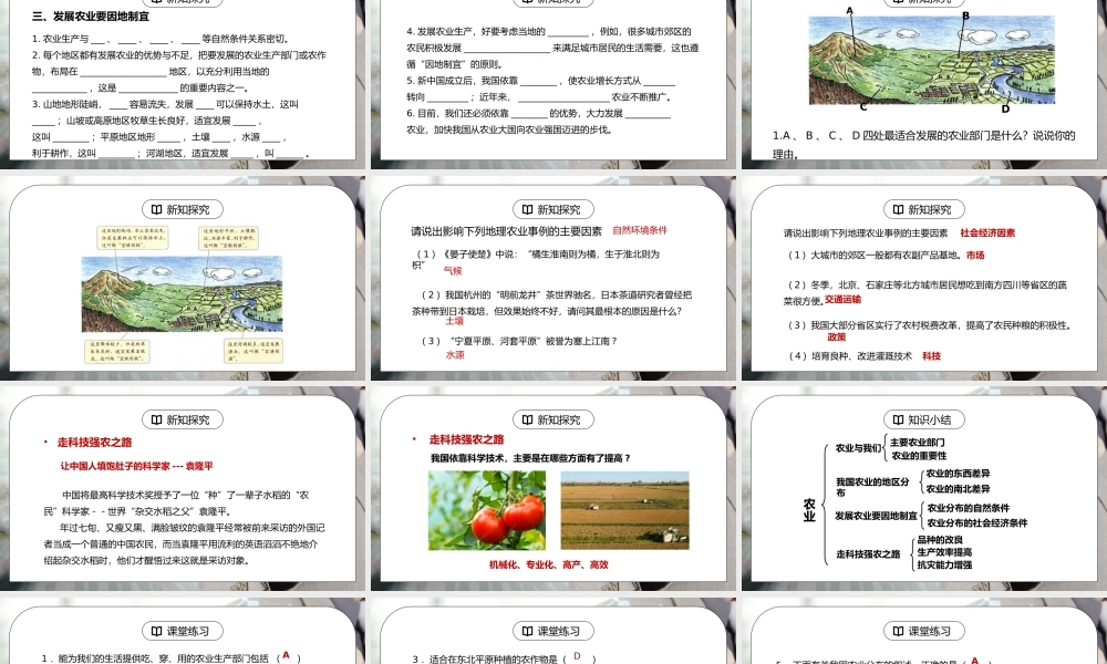 人教版八年级地理上册第三单元《中国的经济发展-农业2》PPT课件.pptx