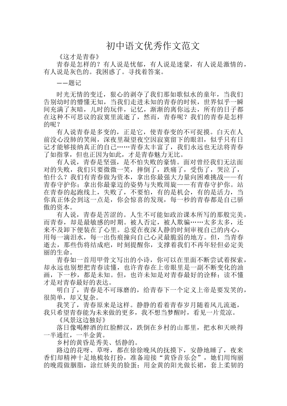 初中语文优秀作文范文.docx_第1页