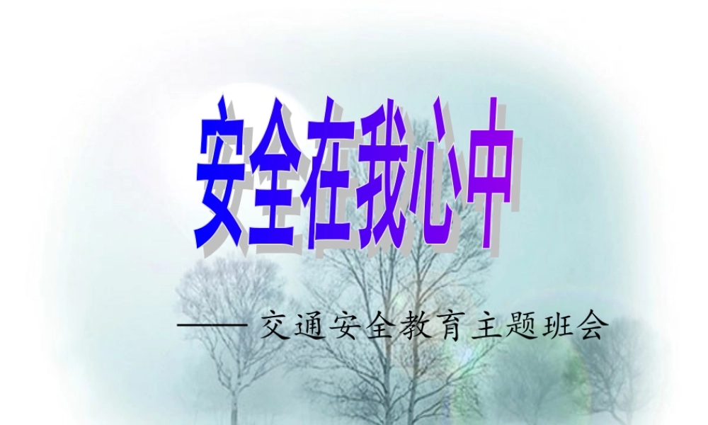 安全在我心中主题班会ppt.ppt