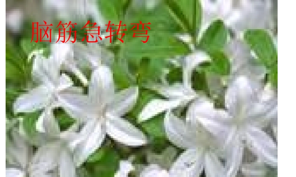 班会脑筋急转弯2.ppt