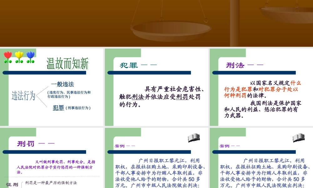 法律“雷池”不可越法律常识.ppt