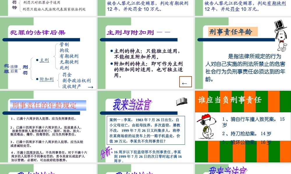 法律“雷池”不可越法律常识.ppt